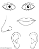 Colorea esta l&aacute;mina sobre Las Partes del Cuerpo. Pintar los Sentidos. Los Ojos, Orejas, Nariz y Labios.